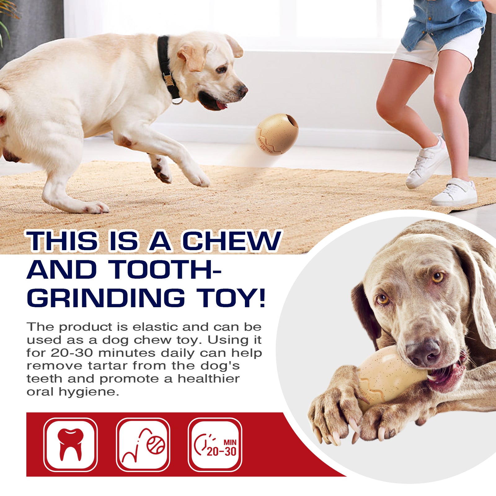 Treat-Filling Dog Toy: The Ultimate Chew Toy for Your Pup