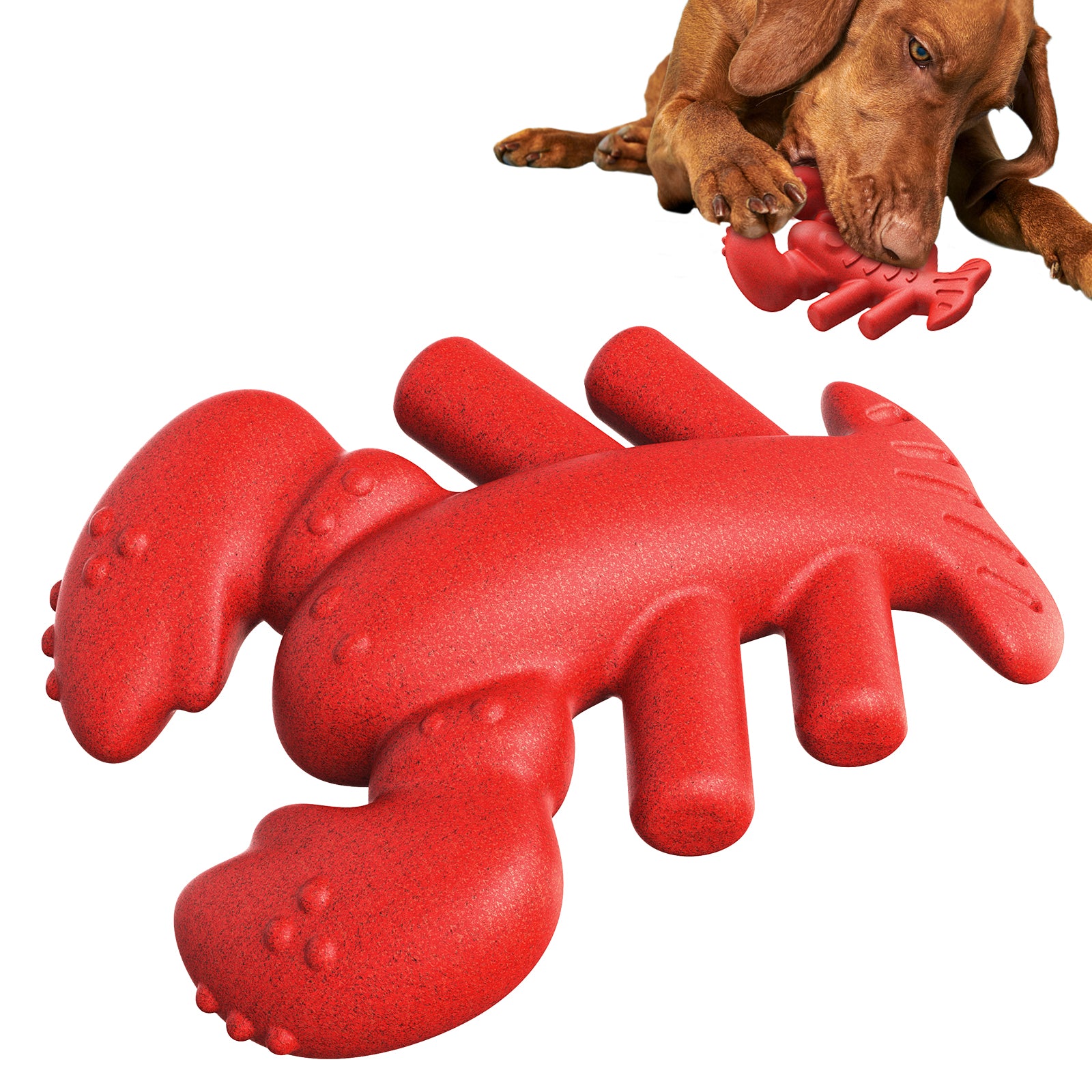 Indestructible Dog Chew Toy – Lobster Stick