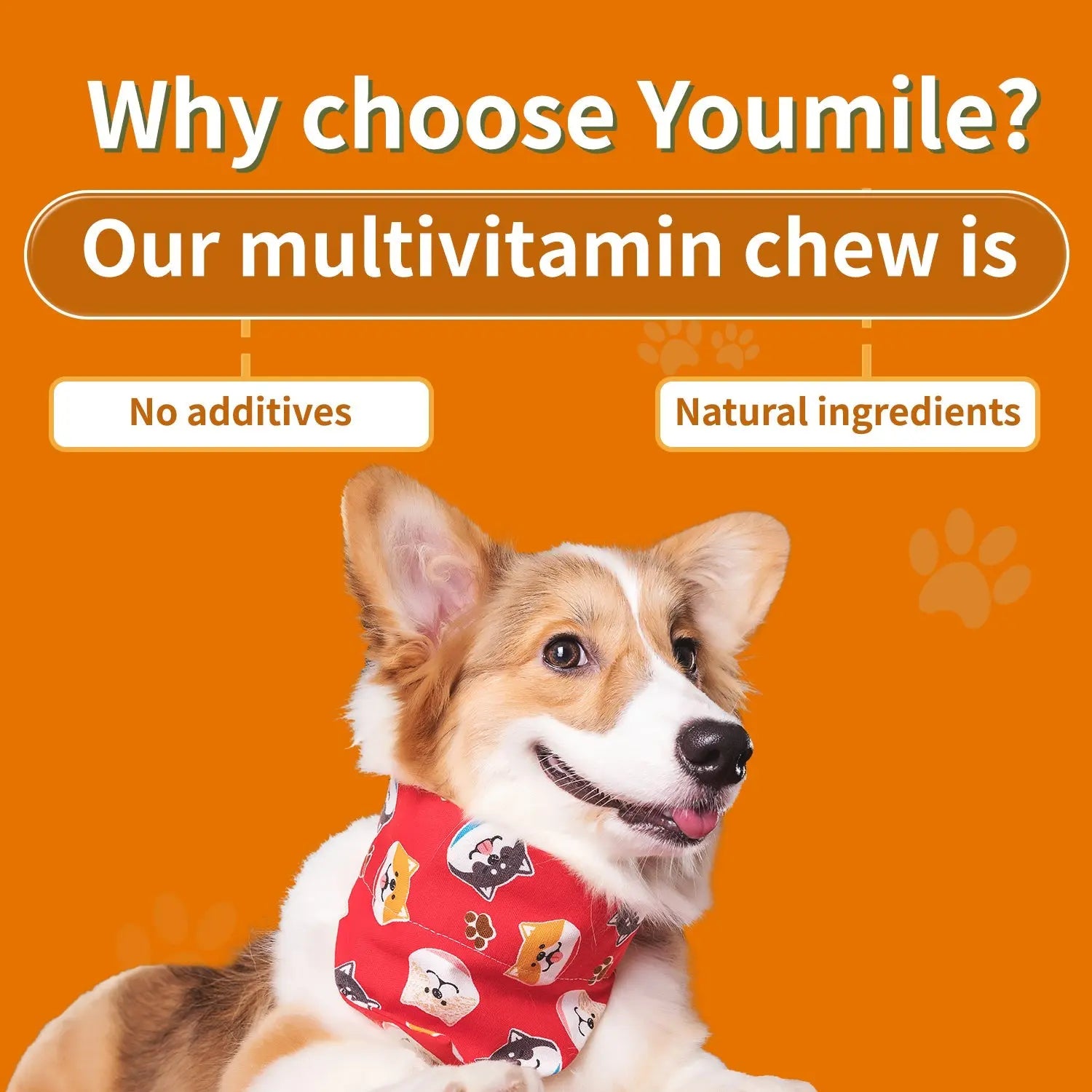 Dog Multivitamin Chews – Skin & Coat Support