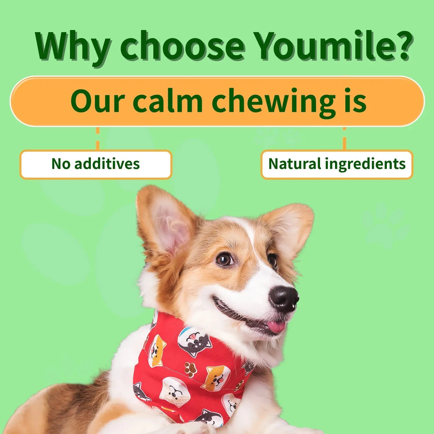 Dog Calming Chews – Stress Relief for Dogs