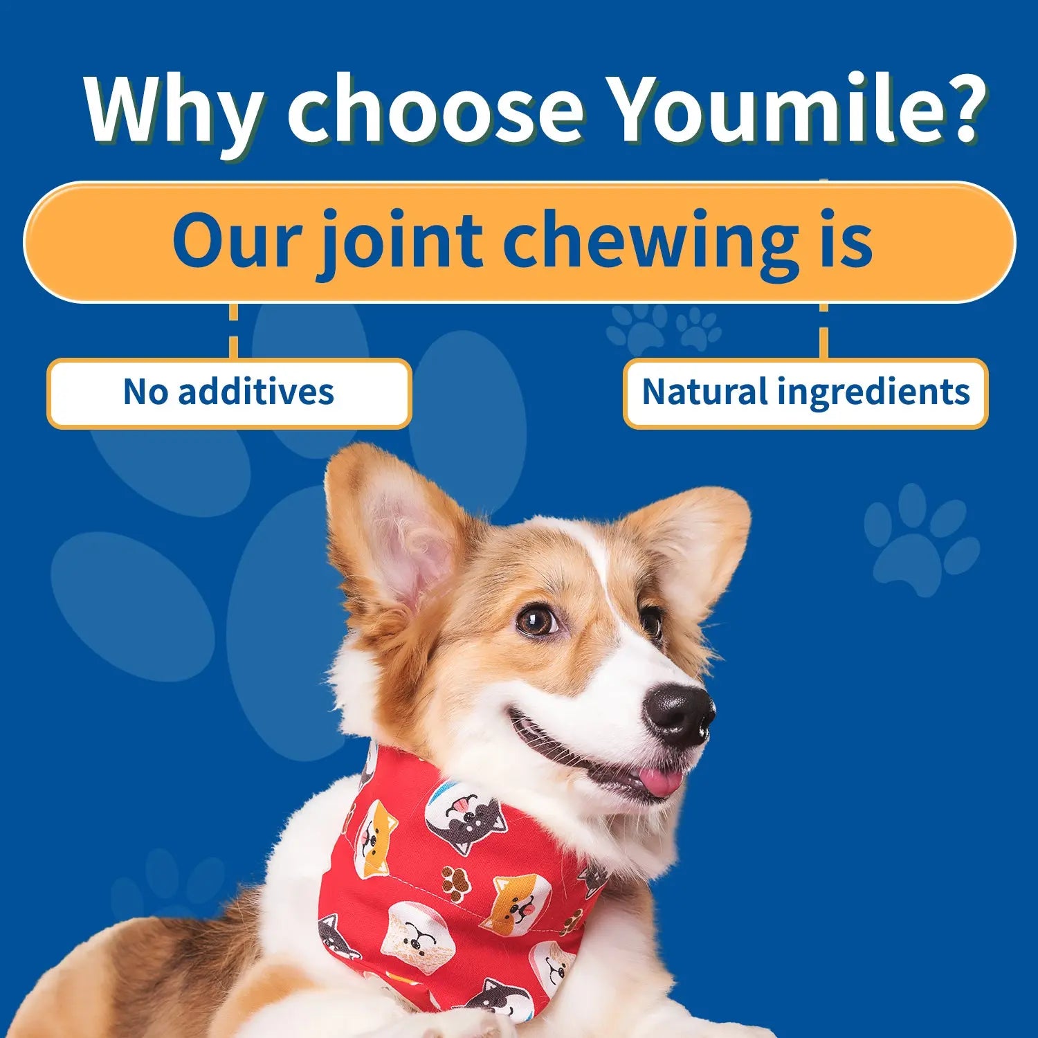 Dog Hip Joint Chews – Natural Joint Support