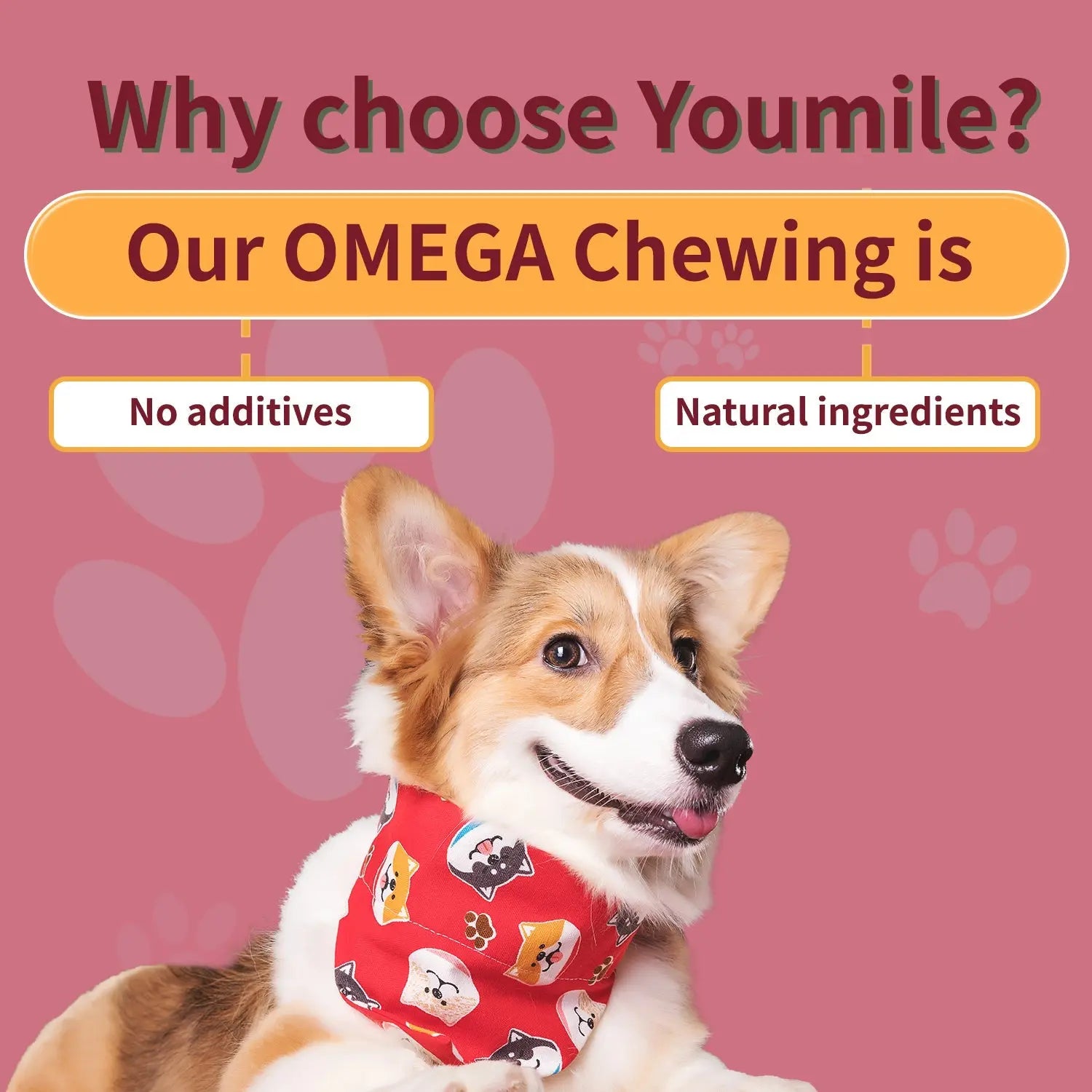 Dog Omega Chews – Coat & Joint Health