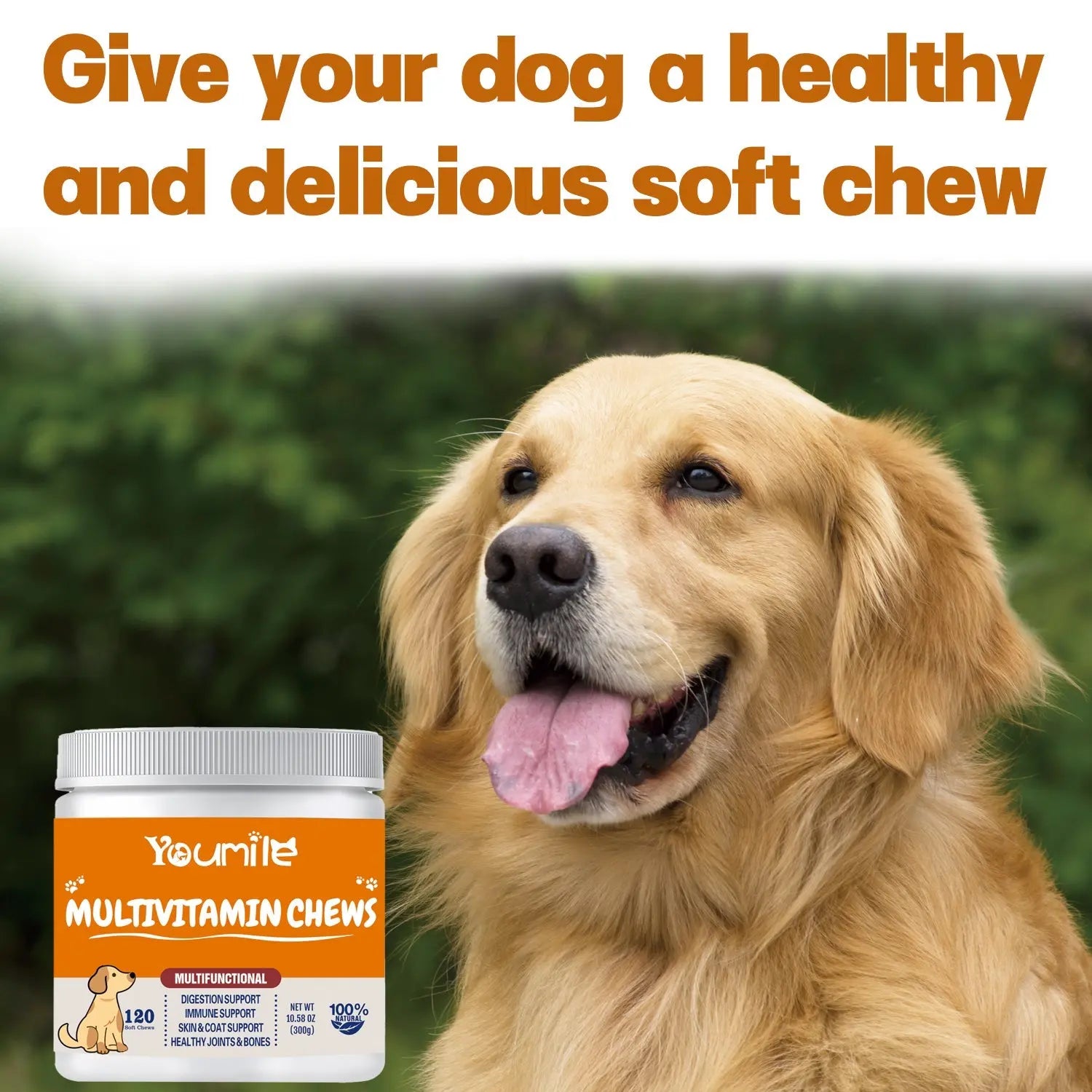 Dog Multivitamin Chews – Skin & Coat Support