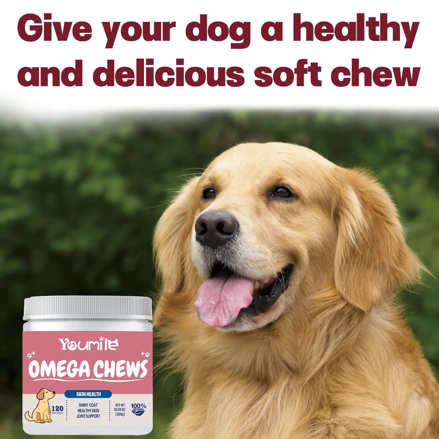 Dog Omega Chews – Coat & Joint Health