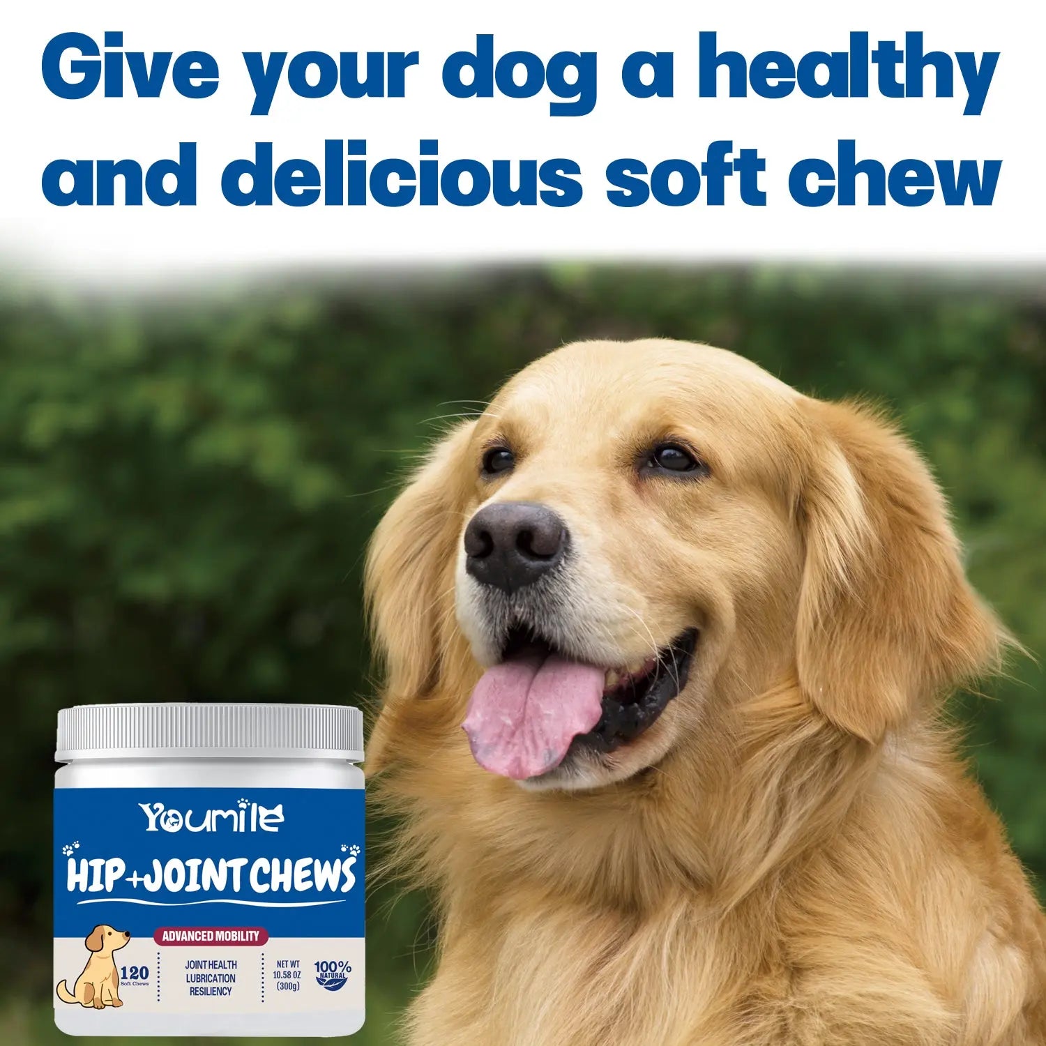 Dog Hip Joint Chews – Natural Joint Support