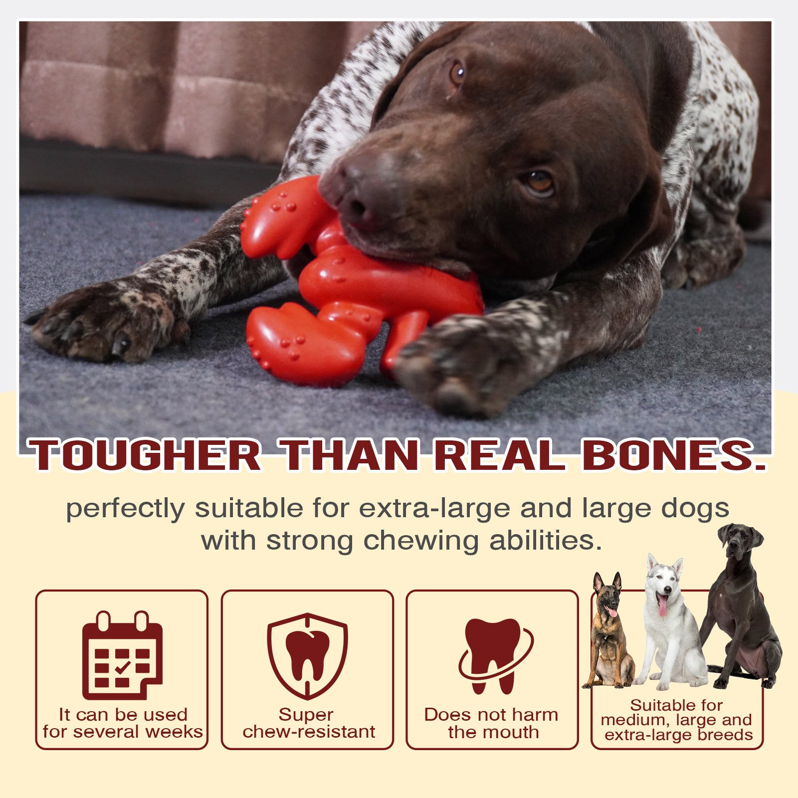 Indestructible Dog Chew Toy – Lobster Stick