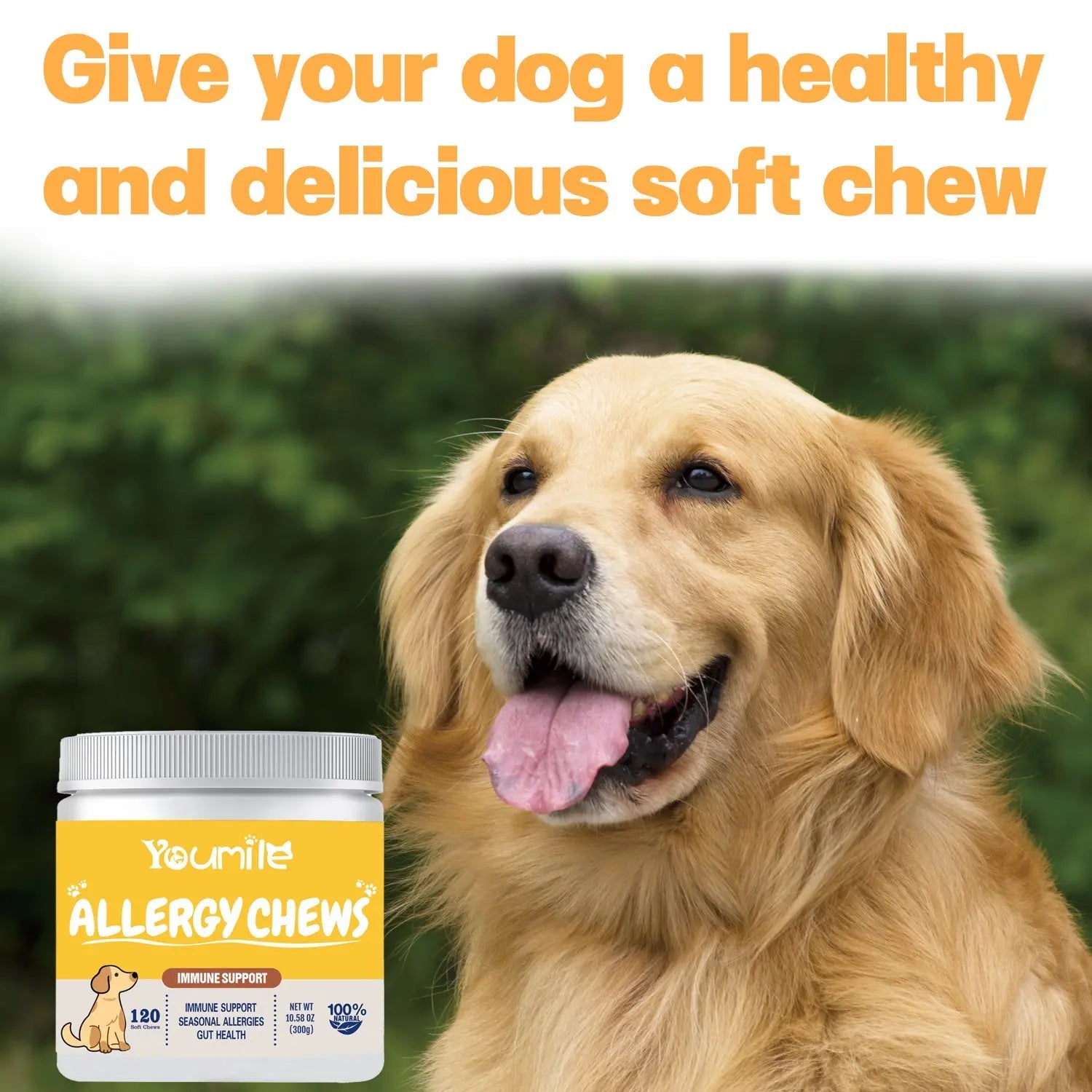 Dog Allergy Chews – Natural Immune Support