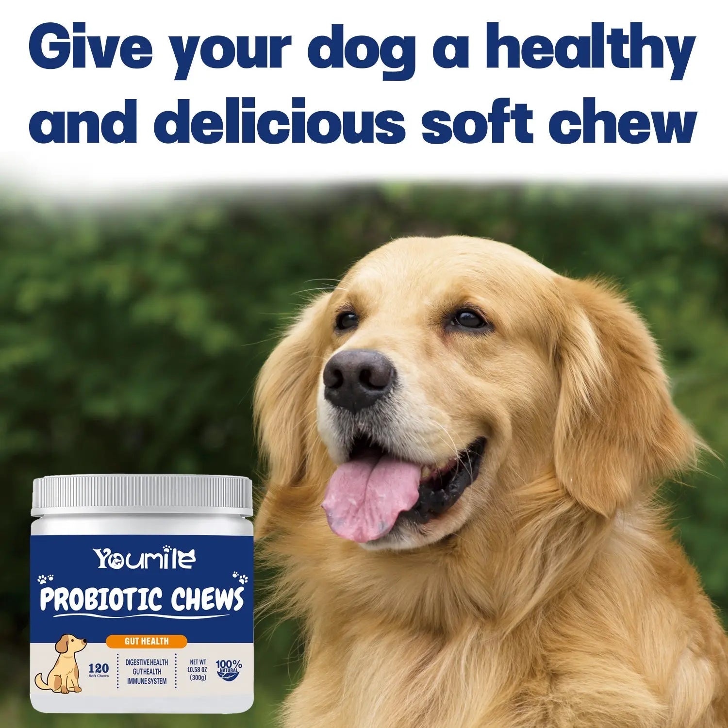 Dog Probiotic Chews – Digestive Health Support