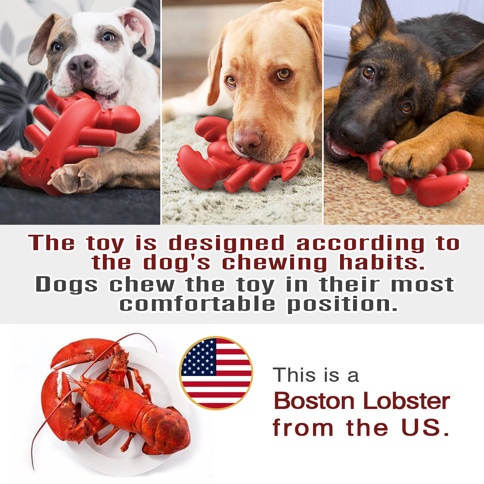 Indestructible Dog Chew Toy – Lobster Stick