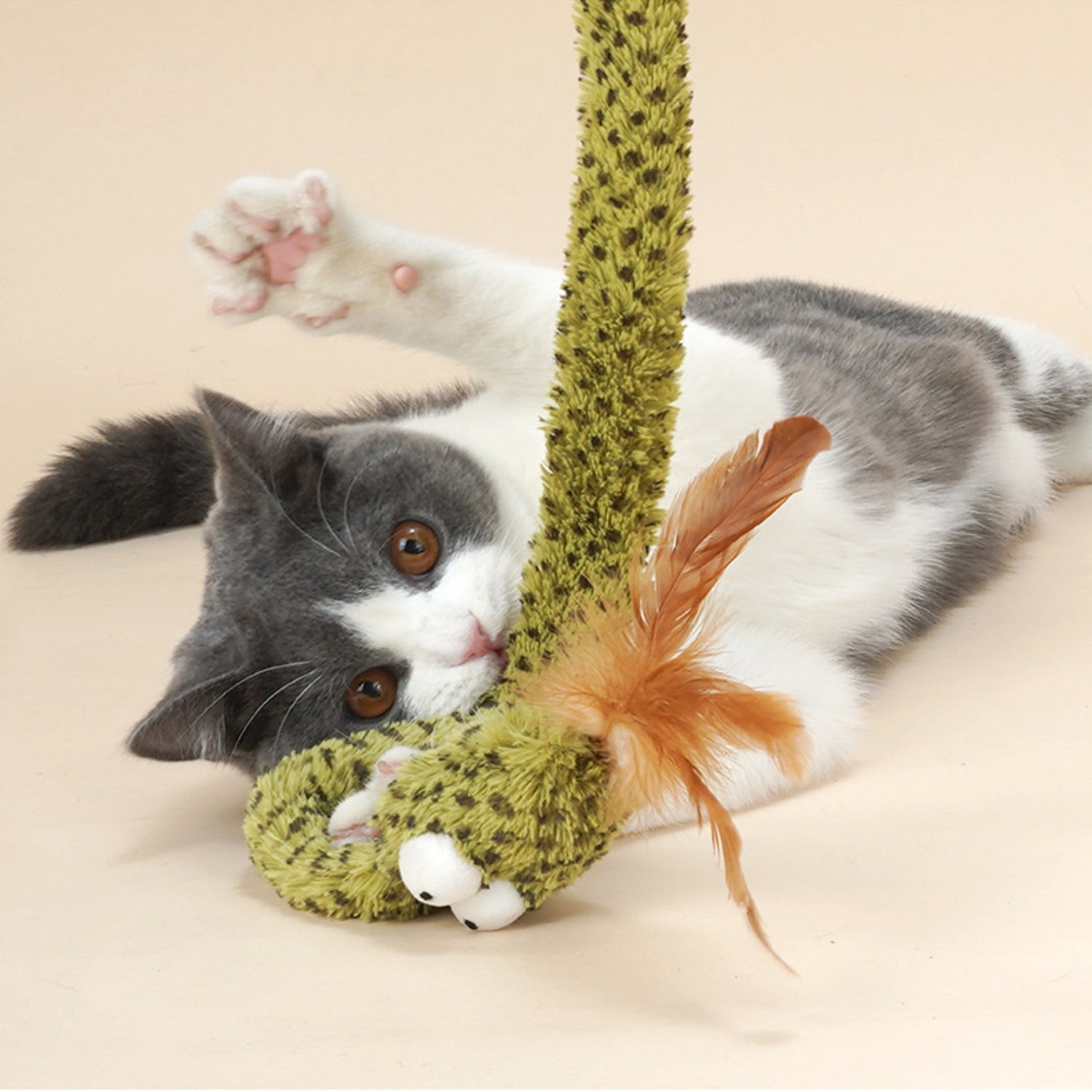 interactive cat toy – Feather Chase Toy