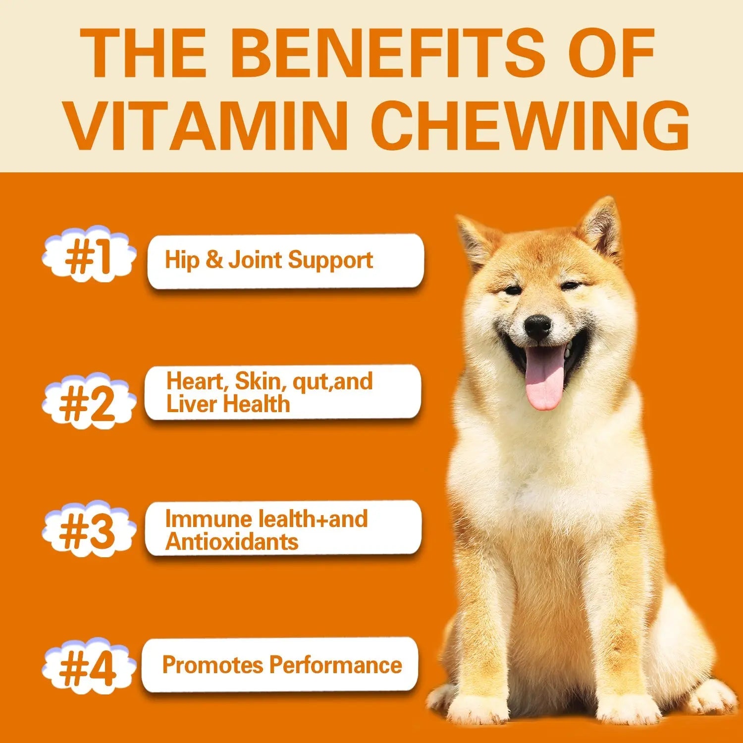 Dog Multivitamin Chews – Skin & Coat Support