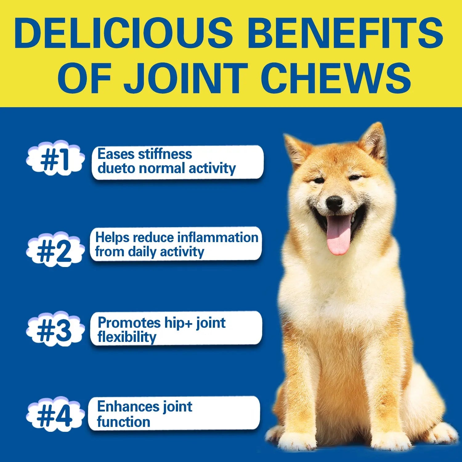 Dog Hip Joint Chews – Natural Joint Support