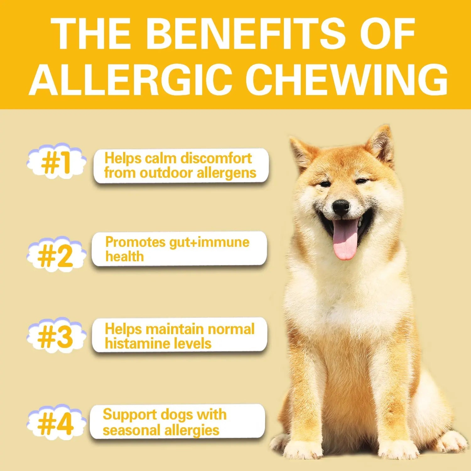 Dog Allergy Chews – Natural Immune Support