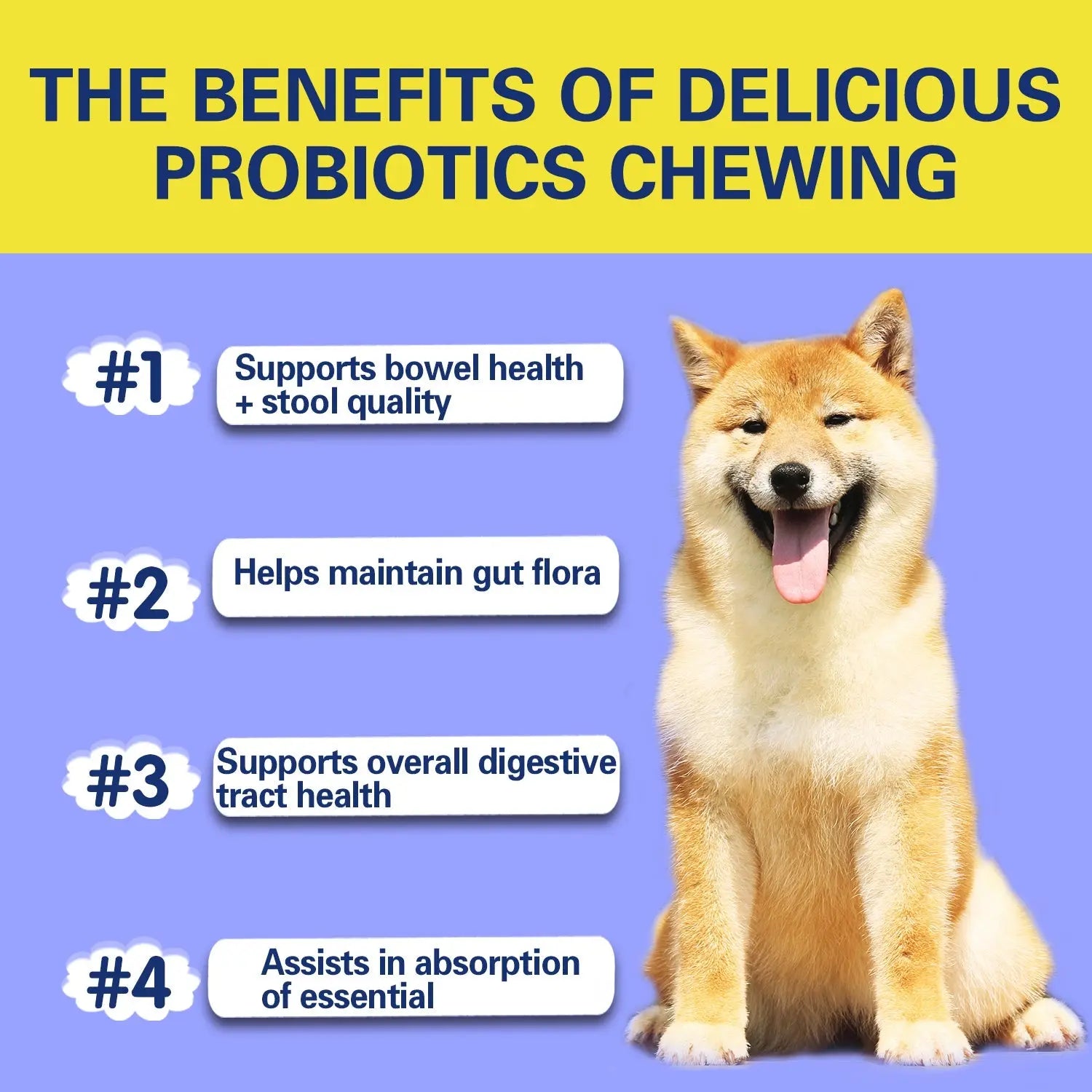 Dog Probiotic Chews – Digestive Health Support SunQueen