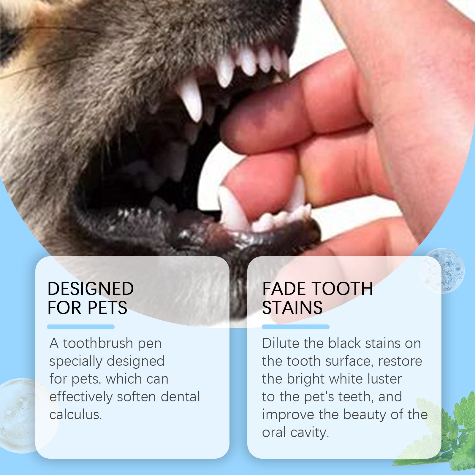 Pet Toothbrush Pen – Natural Teeth Whitening